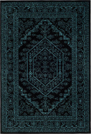 Safavieh Adirondack ADR108K Black/Teal Area Rug main image