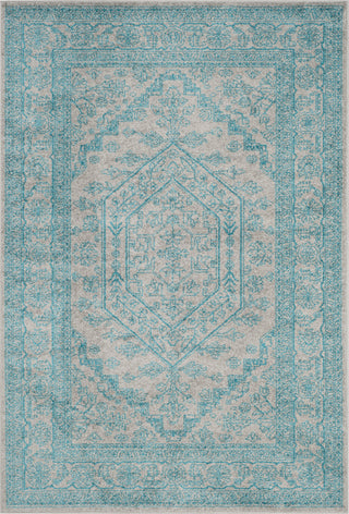 Safavieh Adirondack ADR108L Light Grey/Teal Area Rug main image