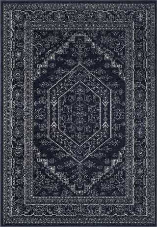 Safavieh Adirondack ADR108N Navy/Ivory Area Rug main image