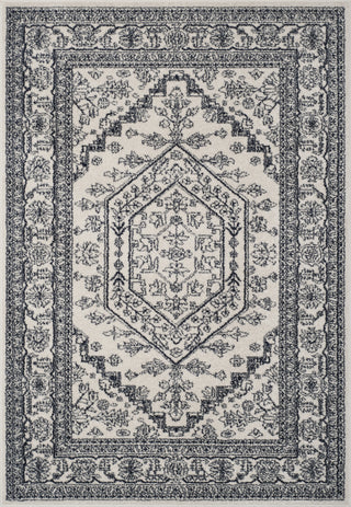 Safavieh Adirondack ADR108R Ivory/Navy Area Rug main image