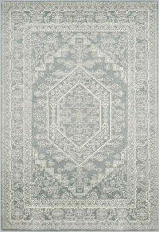 Safavieh Adirondack ADR108T Slate/Ivory Area Rug main image