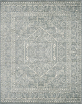 Safavieh Adirondack ADR108T Slate/Ivory Area Rug 