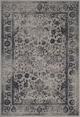 Safavieh Adirondack ADR109P Grey/Navy Area Rug main image