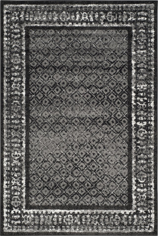 Safavieh Adirondack ADR110A Black/Silver Area Rug main image