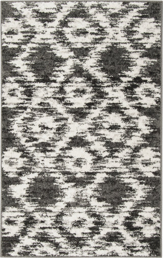 Safavieh Adirondack ADR118R Charcoal/Ivory Area Rug