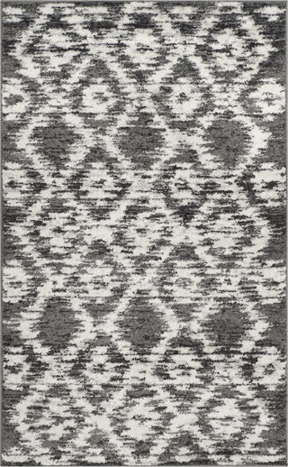 Safavieh Adirondack ADR118R Charcoal/Ivory Area Rug