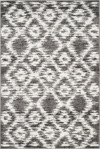 Safavieh Adirondack ADR118R Charcoal/Ivory Area Rug