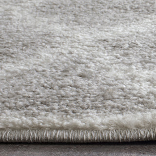 Safavieh Adirondack ADR120B Silver/Ivory Area Rug