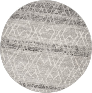 Safavieh Adirondack ADR124B Silver/Ivory Area Rug