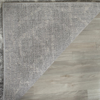 Safavieh Adirondack ADR124B Silver/Ivory Area Rug