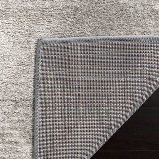 Safavieh Adirondack ADR129B Light Grey/Ivory Area Rug