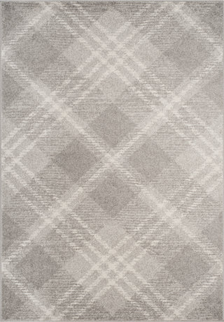 Safavieh Adirondack ADR129B Light Grey/Ivory Area Rug