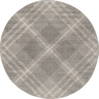 Safavieh Adirondack ADR129B Light Grey/Ivory Area Rug