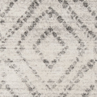 Safavieh Adirondack ADR131C Light Grey/Grey Area Rug