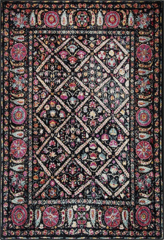 Safavieh Adirondack ADR203Z Black/Fuchsia Area Rug