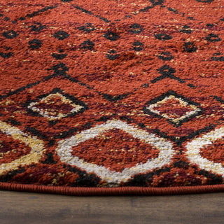 Safavieh Amsterdam AMS108D Terracotta/Multi Area Rug