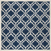 Safavieh Amherst AMT402P Navy/Beige Area Rug