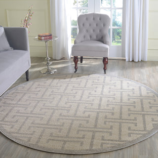 Safavieh Amherst AMT404K Ivory/Light Grey Area Rug