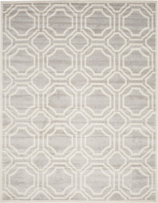 Safavieh Amherst AMT411B Light Grey/Ivory Area Rug