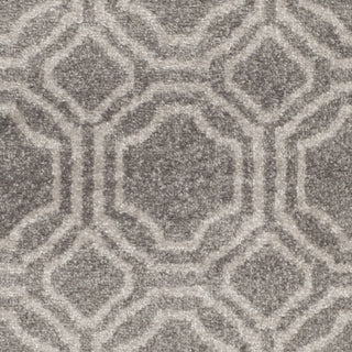 Safavieh Amherst AMT411C Grey/Light Grey Area Rug