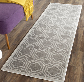 Safavieh Amherst AMT411C Grey/Light Grey Area Rug