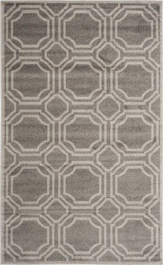 Safavieh Amherst AMT411C Grey/Light Grey Area Rug