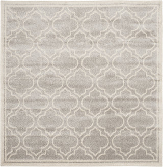 Safavieh Amherst AMT412B Light Grey/Ivory Area Rug