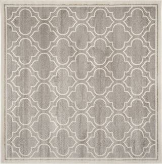 Safavieh Amherst AMT412B Light Grey/Ivory Area Rug