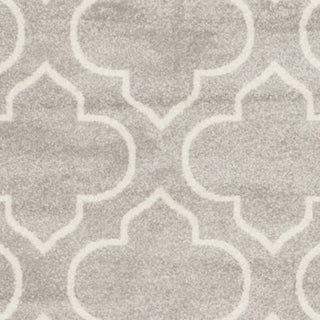 Safavieh Amherst AMT412B Light Grey/Ivory Area Rug