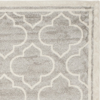 Safavieh Amherst AMT412B Light Grey/Ivory Area Rug