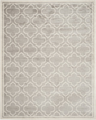 Safavieh Amherst AMT412B Light Grey/Ivory Area Rug