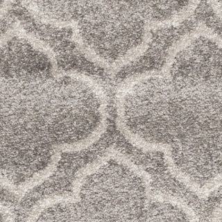 Safavieh Amherst AMT412C Grey/Light Grey Area Rug