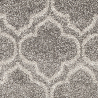 Safavieh Amherst AMT412C Grey/Light Grey Area Rug