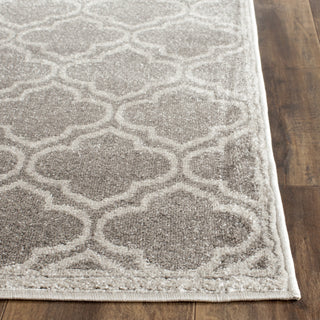 Safavieh Amherst AMT412C Grey/Light Grey Area Rug