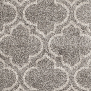 Safavieh Amherst AMT412C Grey/Light Grey Area Rug