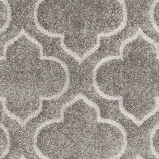 Safavieh Amherst AMT412C Grey/Light Grey Area Rug