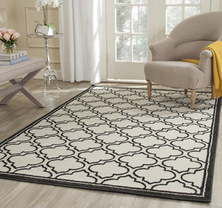 Safavieh Amherst AMT412D Ivory/Anthracite Area Rug