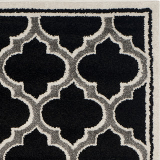 Safavieh Amherst AMT412G Anthracite/Ivory Area Rug