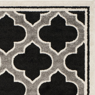 Safavieh Amherst AMT412G Anthracite/Ivory Area Rug