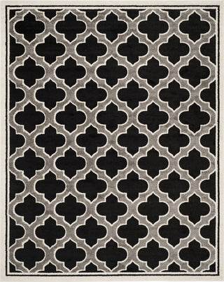 Safavieh Amherst AMT412G Anthracite/Ivory Area Rug