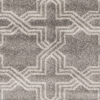 Safavieh Amherst AMT413C Grey/Light Grey Area Rug