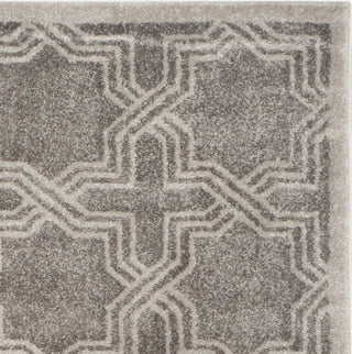 Safavieh Amherst AMT413C Grey/Light Grey Area Rug