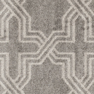 Safavieh Amherst AMT413C Grey/Light Grey Area Rug