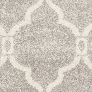 Safavieh Amherst AMT414B Light Grey/Ivory Area Rug