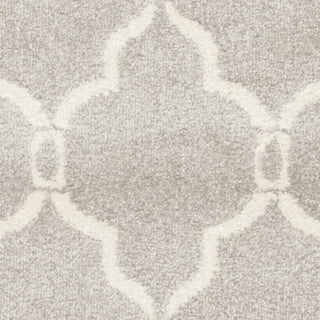 Safavieh Amherst AMT414B Light Grey/Ivory Area Rug