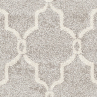 Safavieh Amherst AMT414B Light Grey/Ivory Area Rug