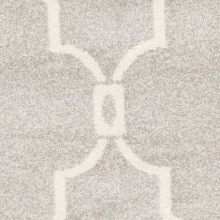 Safavieh Amherst AMT414B Light Grey/Ivory Area Rug