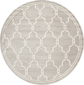 Safavieh Amherst AMT414B Light Grey/Ivory Area Rug