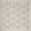 Safavieh Amherst AMT414B Light Grey/Ivory Area Rug