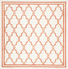 Safavieh Amherst AMT414F Beige/Orange Area Rug